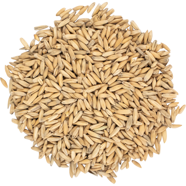 Malt - Canada Malting Oat Malt - Per Lb (Showroom Only)
