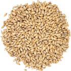 Malt - Viking Malt Pilsner - Per Lb (Showroom Only)