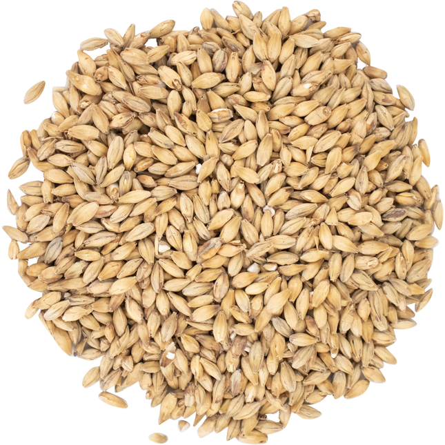 Malt - Viking Malt Pilsner - Per Lb (Showroom Only)