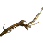 Rhizome - Sterling