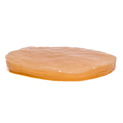 Fermentaholics - Jun Kombucha SCOBY - Starter Culture