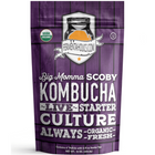 Fermentaholics - Big Momma Kombucha SCOBY - Starter Culture