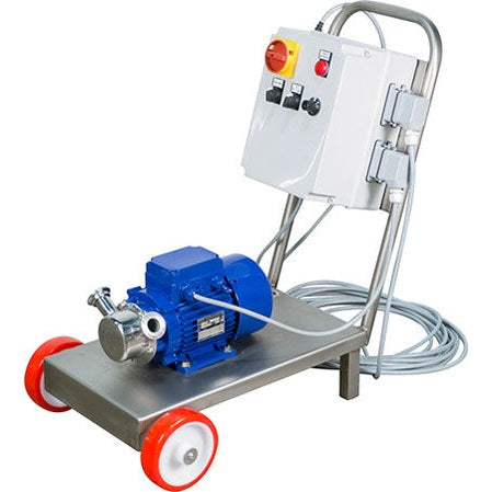 Pump - Euro 30 w/ Frequency Inverter and Remote - 220V, Single Phase - USED REFURBISHED