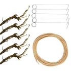 Complete Hop Rhizome Growing Kit - Includes Rhizomes