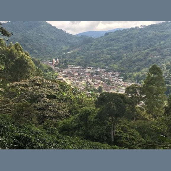 Single-Origin Reserve Series - Colombia Finca Palmichal, Natural Processed - PLACEHOLDER