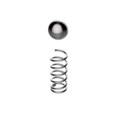 Grainfather - Check Valve Spring and Ball