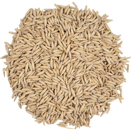 Malt - Viking Malt Oat - Per Lb (Showroom Only)