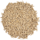 Malt - Viking Malt Oat - Per Lb (Showroom Only)