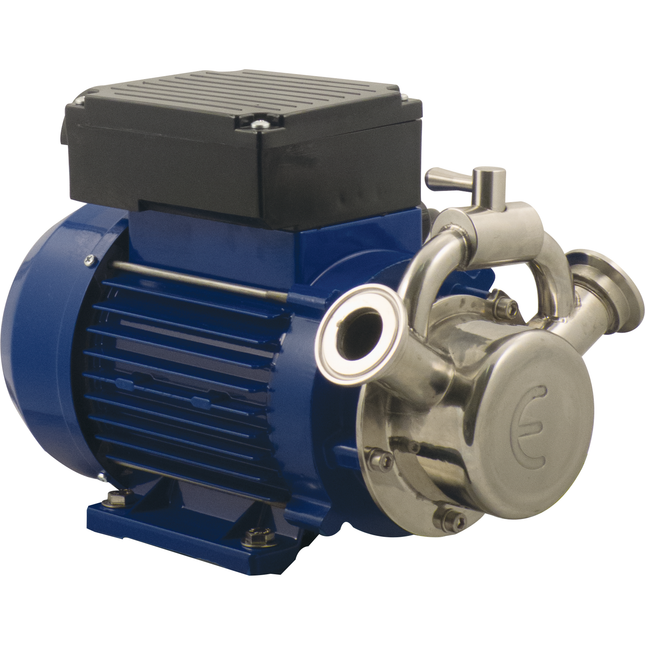 Pump Only - Euro 30 with Bypass - Boxed with Foam - 220V, Single Phase - PLACEHOLDER