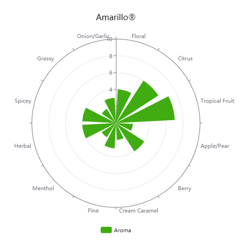 Whole Hops - Amarillo - PLACEHOLDER
