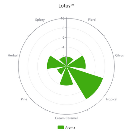Pellet Hops - US Lotus - - PLACEHOLDER