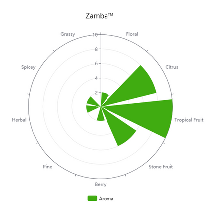Pellet Hops - US Zamba - PLACEHOLDER