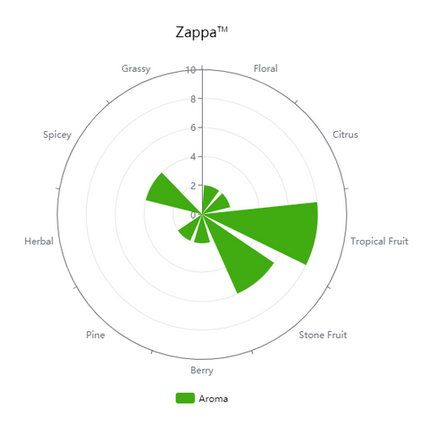Pellet Hops - US Zappa - PLACEHOLDER
