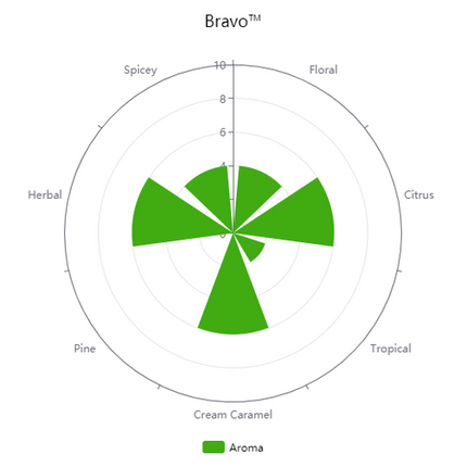 Hop (Pellets) - Bravo - PLACEHOLDER