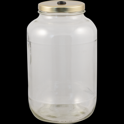 1 Gallon Glass Jar Fermenter Kit - Lug Finish - S-Shaped Airlock