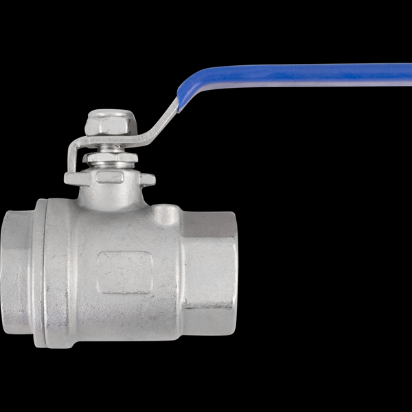 Stainless Ball Valve for FermZilla - PCO 1881 x 3/4 in. Female BSP