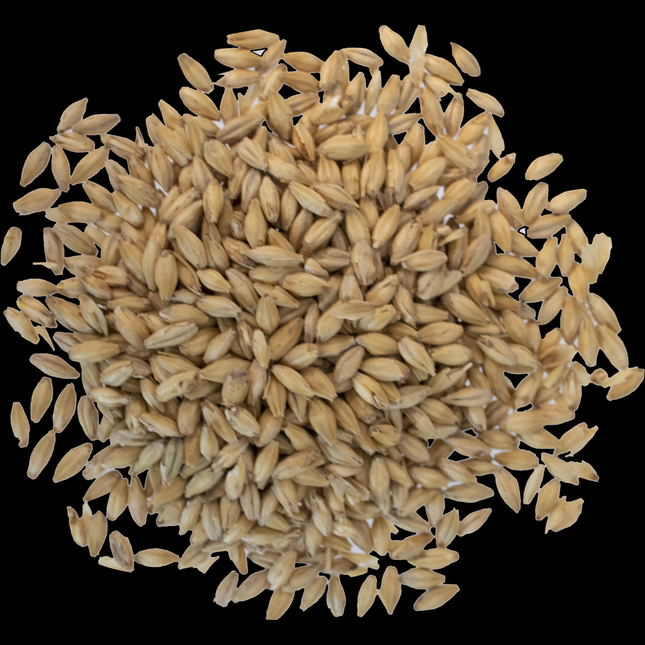 Malt - Rahr 2-Row - Per Lb (Showroom Only)