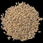 Malt - Great Western American  Pale - Per Lb (Showroom Only)