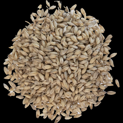 Malt - Rahr 6-Row - Per Lb (Showroom Only)
