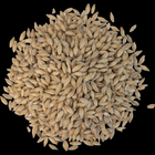 Malt - Belgian Pilsner - Per Lb (Showroom Only)