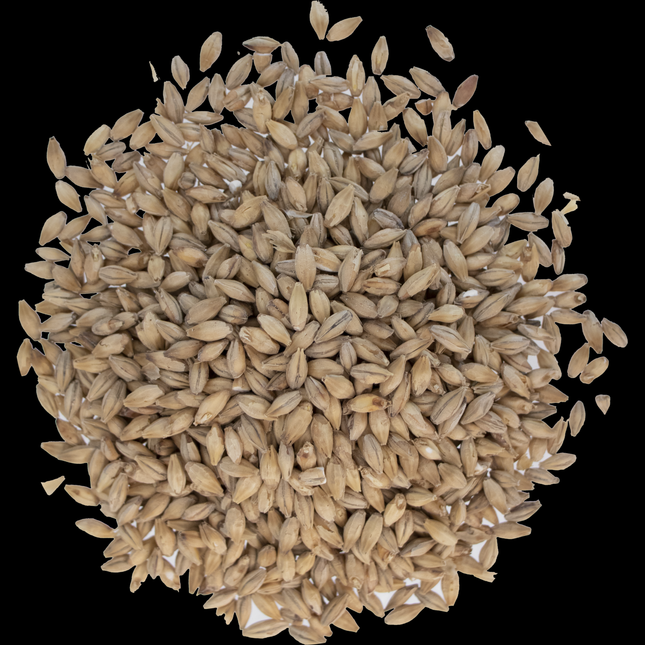 Malt - Floor Malted Bohemian Pilsner - Per Lb (Showroom Only)