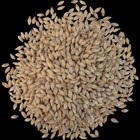 Malt - Crisp - No. 19 Floor Malted Maris Otter - Per Lb (Showroom Only)