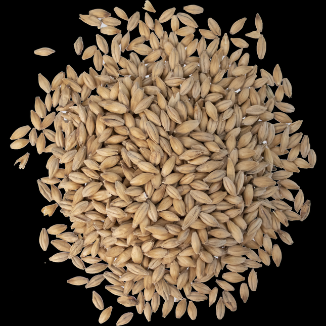 Malt - Fawcett Malting Maris Otter - Per Lb (Showroom Only)