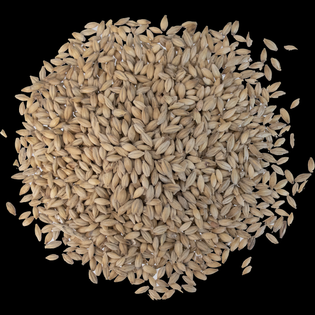 Malt - Fawcett Malting Pearl - Per Lb (Showroom Only)