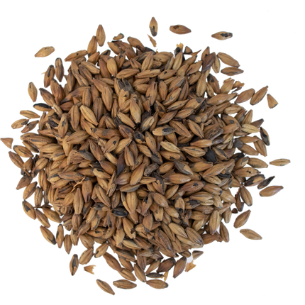 Malt - Viking Malt Chocolate Light - Per Lb (Showroom Only)