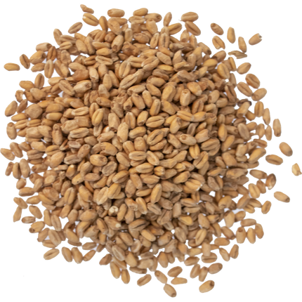 Malt - Viking Malt Smoked Wheat - Per Lb (Showroom Only)