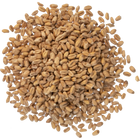 Malt - Viking Malt Smoked Wheat - Per Lb (Showroom Only)