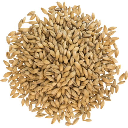 Malt - Viking Malt 2-Row Xtra Pale - Per Lb (Showroom Only)