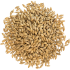 Malt - Viking Malt 2-Row Xtra Pale - Per Lb (Showroom Only)