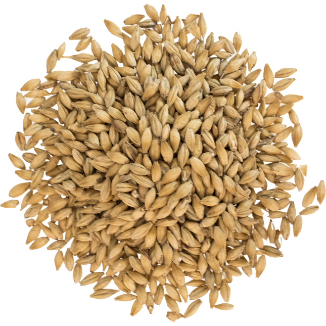 Malt - Viking Malt 2-Row Xtra Pale - Per Lb (Showroom Only)