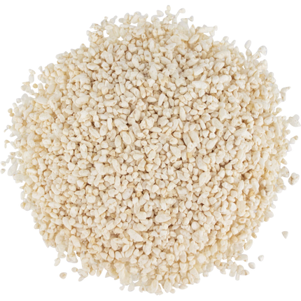 Japanese White Koji - PLACEHOLDER