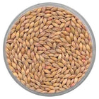 2-Row Barley Seed for Planting - PLACEHOLDER
