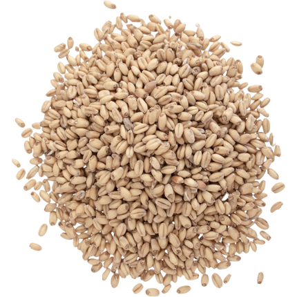 Malt - Briess White Wheat - Per Lb (Showroom Only)