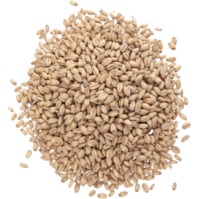 Malt - Briess White Wheat - Per Lb (Showroom Only)