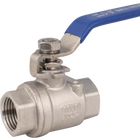 Stainless - 1/2 in. BSP Ball Valve