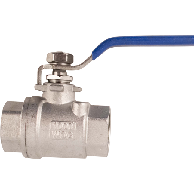Stainless - 1/2 in. BSP Ball Valve