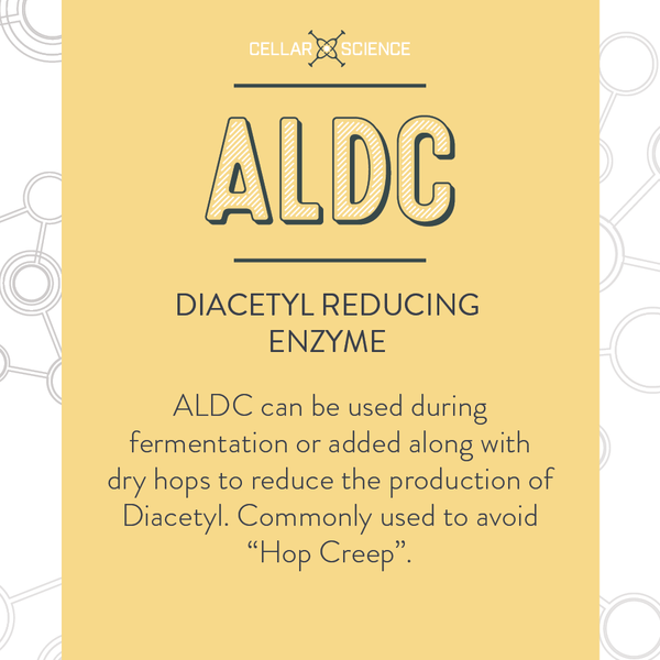 CellarScience® ALDC | Diacetyl Reducing Enzyme
