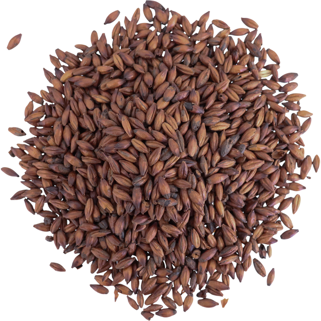 Malt - Viking Malt Chocolate Dark - Per Lb (Showroom Only)