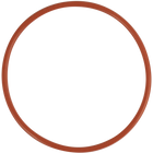 Riptide Brewing Pump - Replacement O-Ring