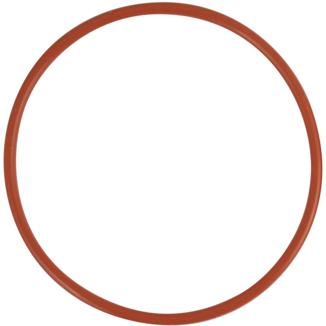 Riptide Brewing Pump - Replacement O-Ring