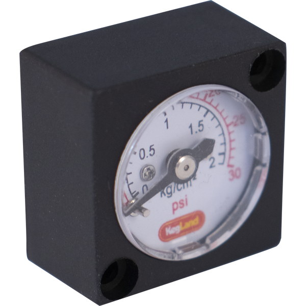 Mini Pressure Gauge (0-30 psi)