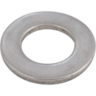 Stainless - 1/4 in. BSP Washer