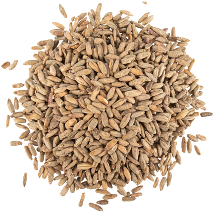 Malt - Viking Malt Rye - Per Lb (Showroom Only)
