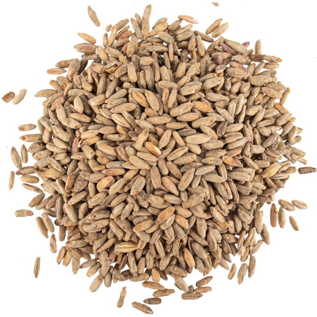 Malt - Viking Malt Rye - Per Lb (Showroom Only)