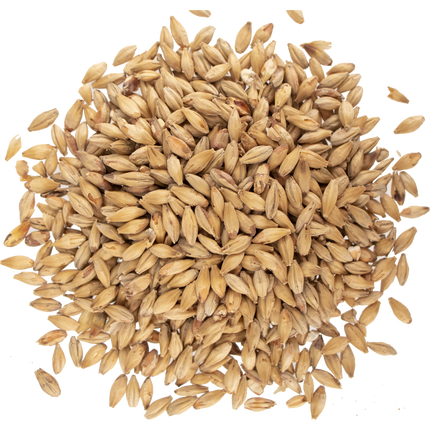 Malt - Viking Malt Munich Dark - Per Lb (Showroom Only)