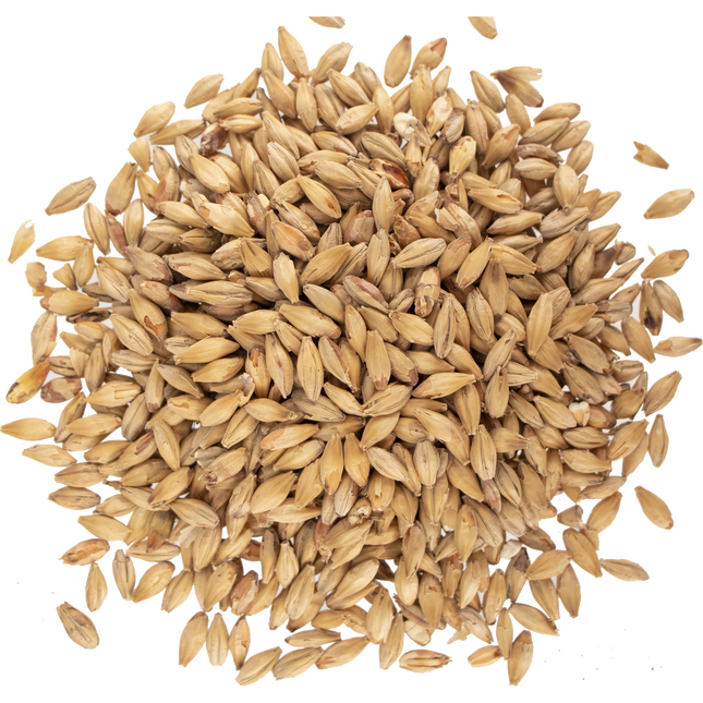 Malt - Viking Malt Munich Dark - Per Lb (Showroom Only)